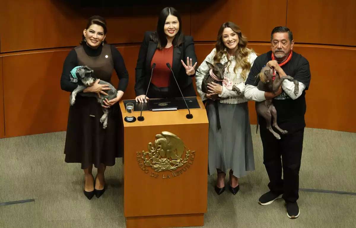 Aprueba Senado reforma que eleva a rango constitucional la protección animal
