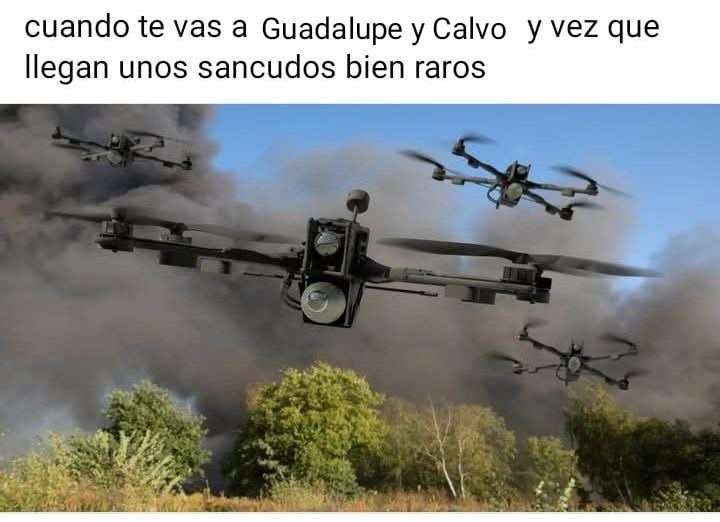 Guadalupe y Calvo...