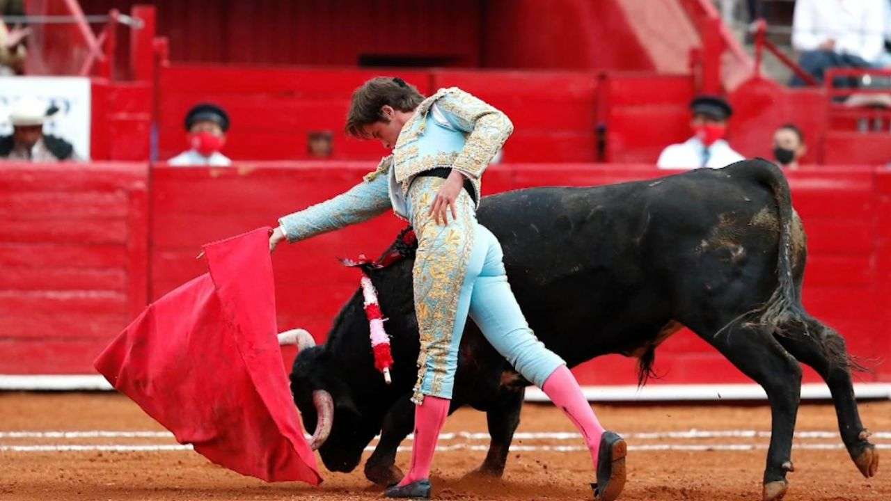 Genera debate propuesta de corridas de toros sin violencia en la Cdmx