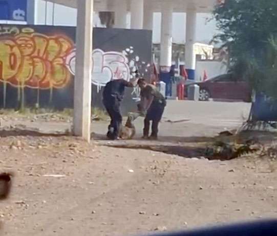 [Suspendidos]