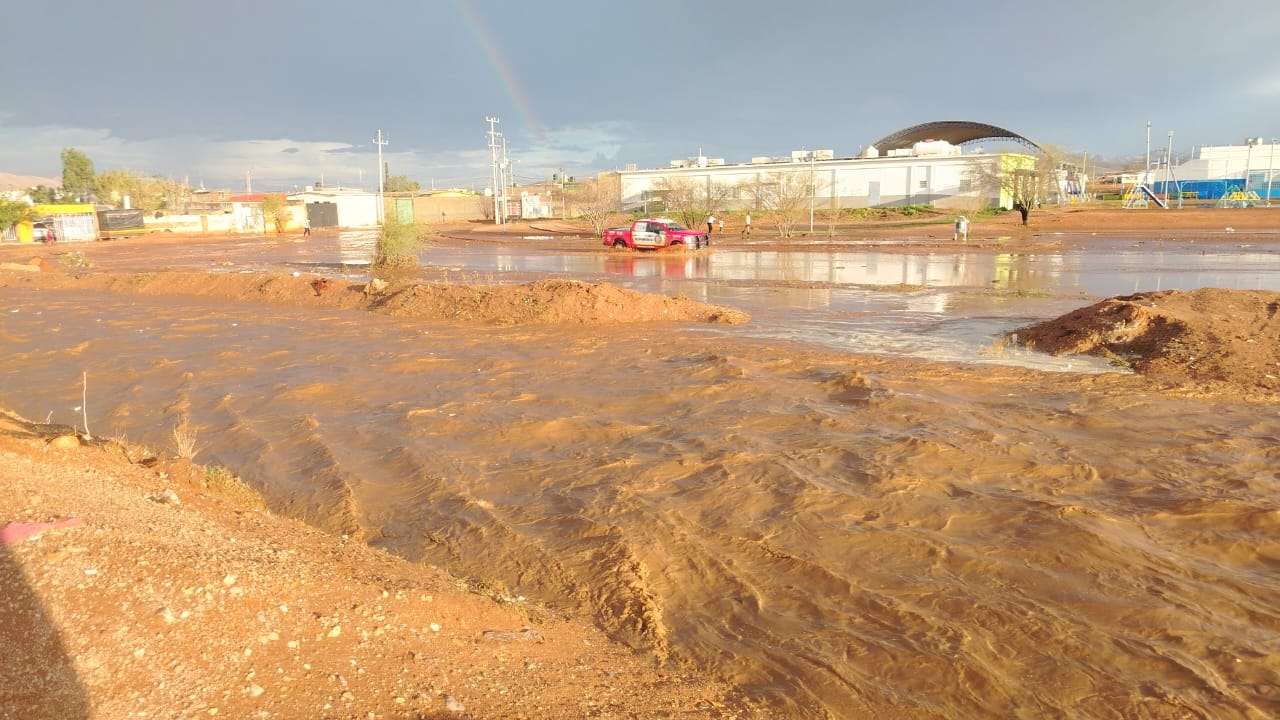 Reportan incidencias menores sin lesionados por la tormenta