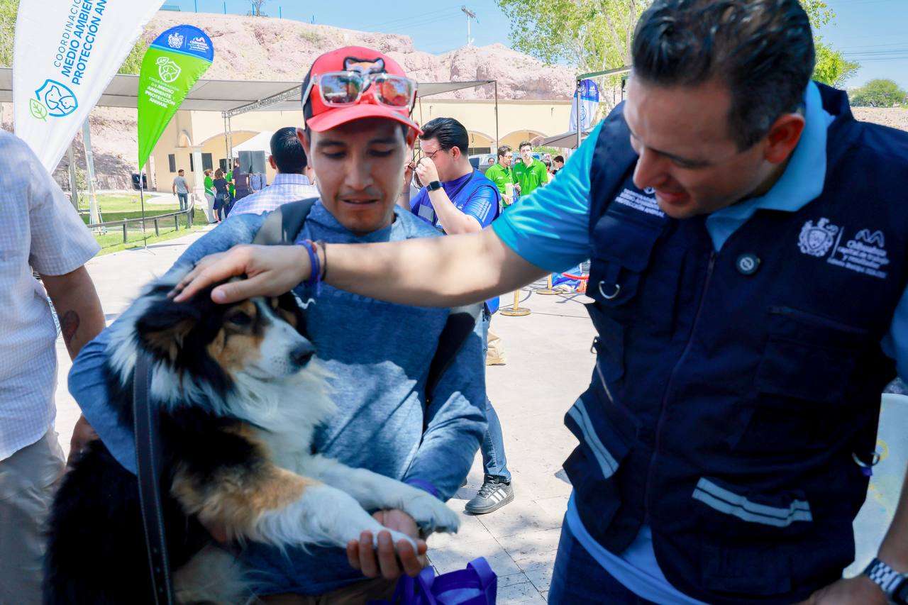 Crea Bonilla reglamento único para proteger animales de compañía