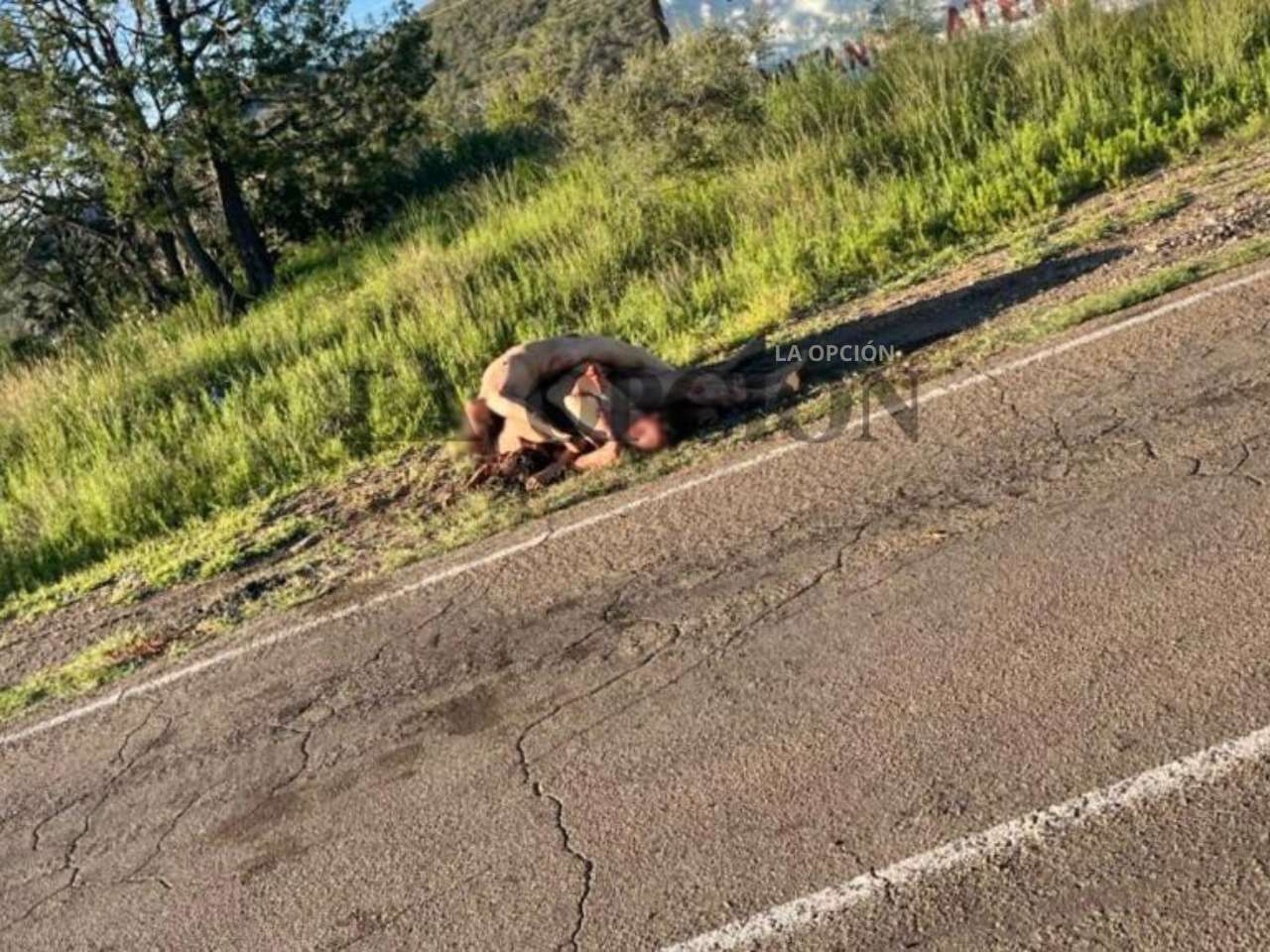 Identifican a los 5 ejecutados hallados en la carretera Temósachic-Madera