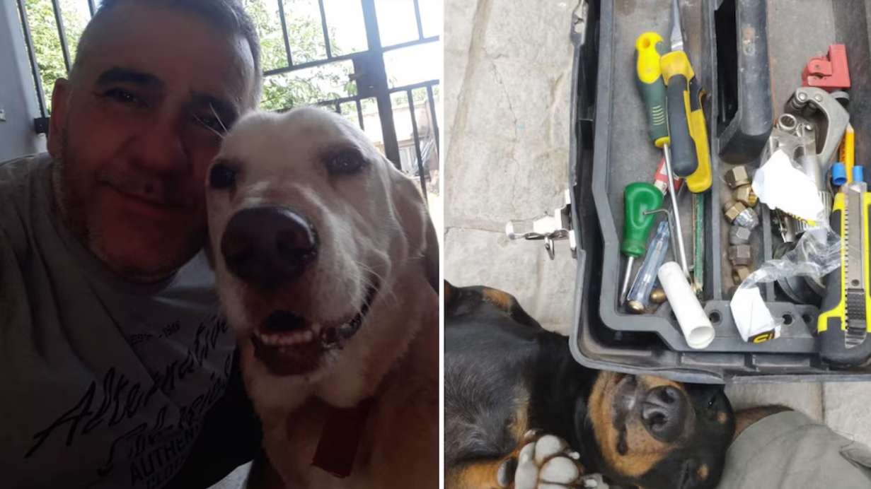 Se vuelve viral técnico que posa con los perros de sus clientes