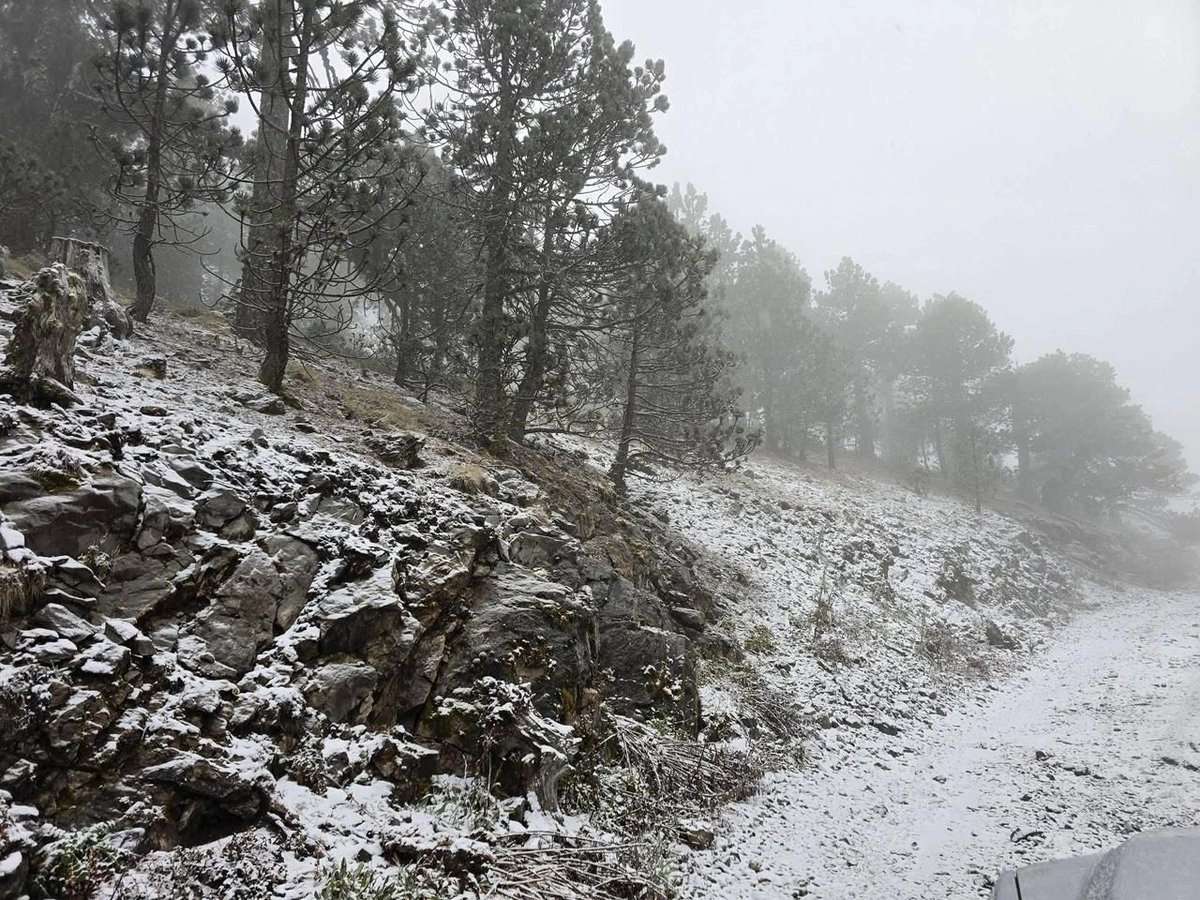 Cae nieve en Nuevo León por entrada del frente frío 27