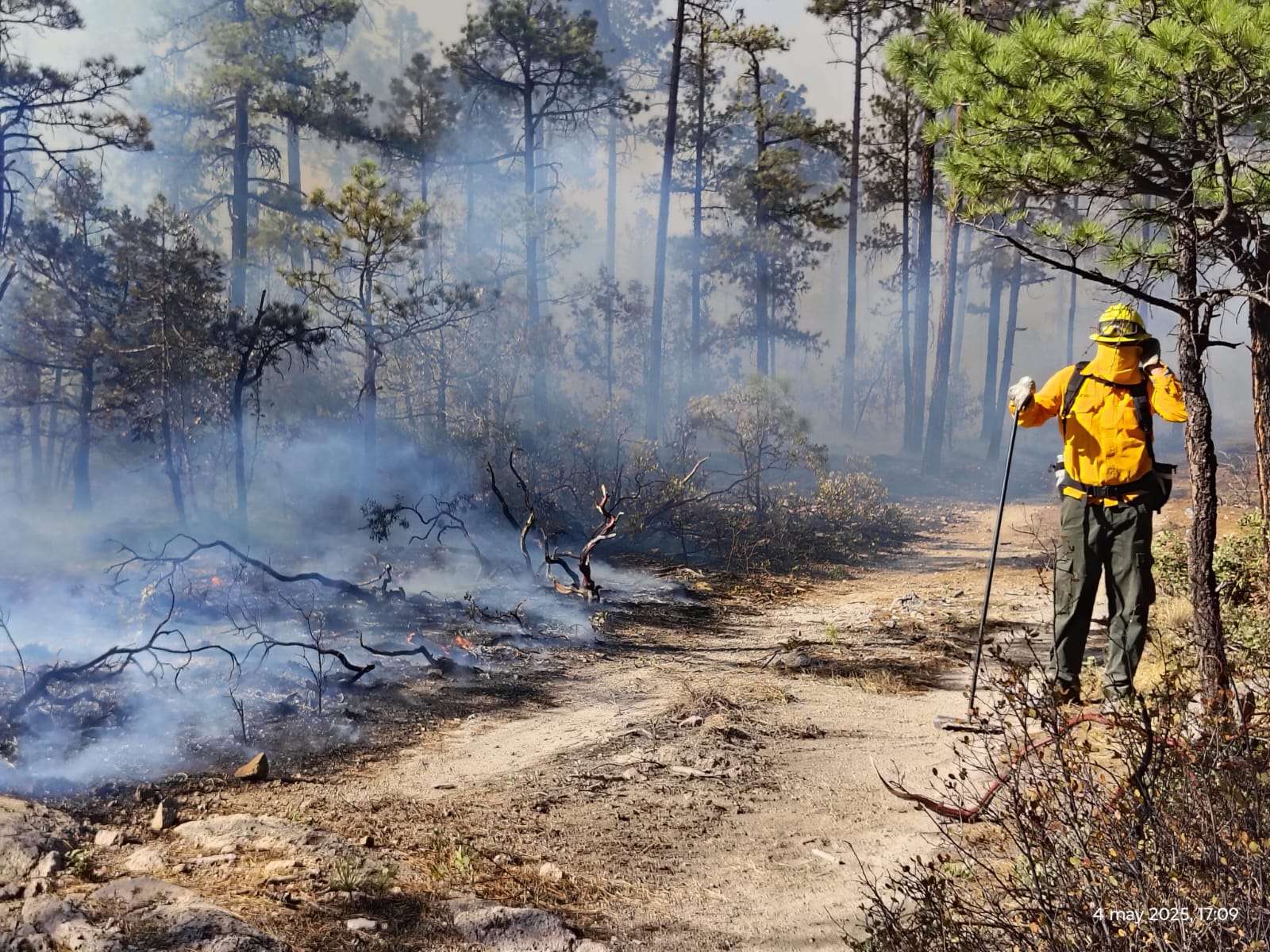 Prevén año crítico por incendios y sequía en la Sierra