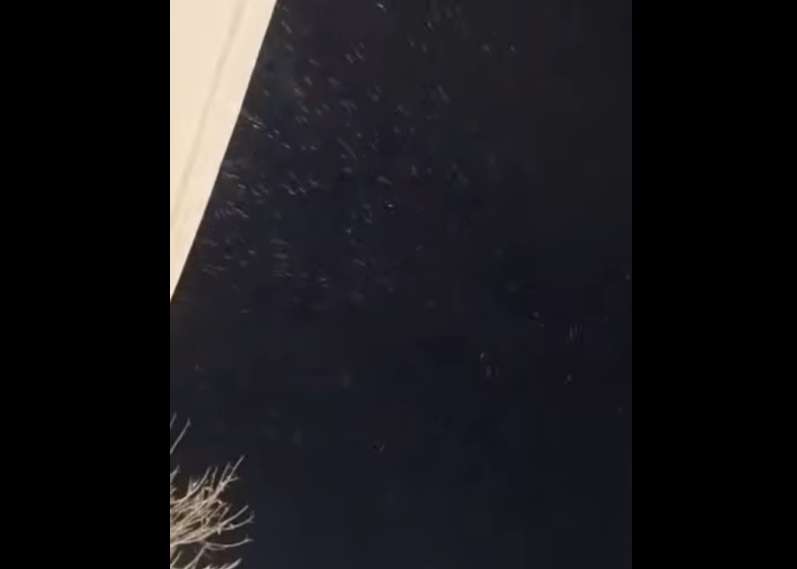 Cae ligera nevada al sur de la ciudad
