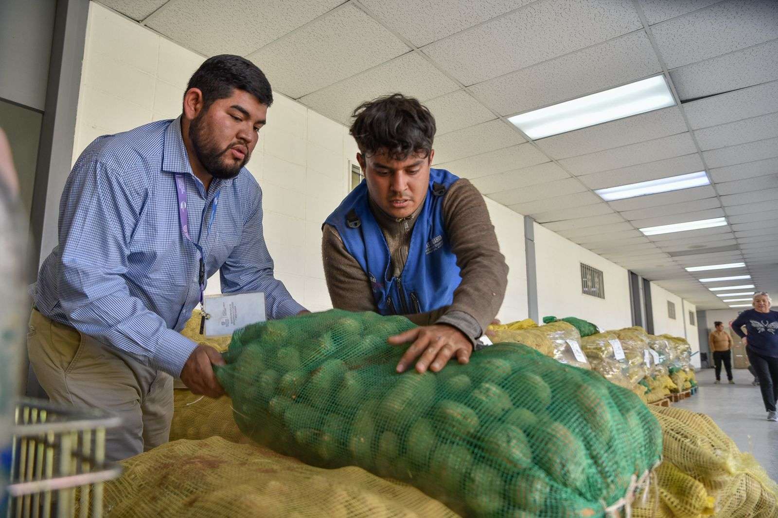 Distribuye Estado más de 30 toneladas de papa