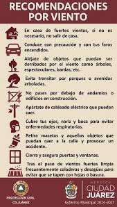 Derriban vientos barda, registran ocho servicios de emergencia