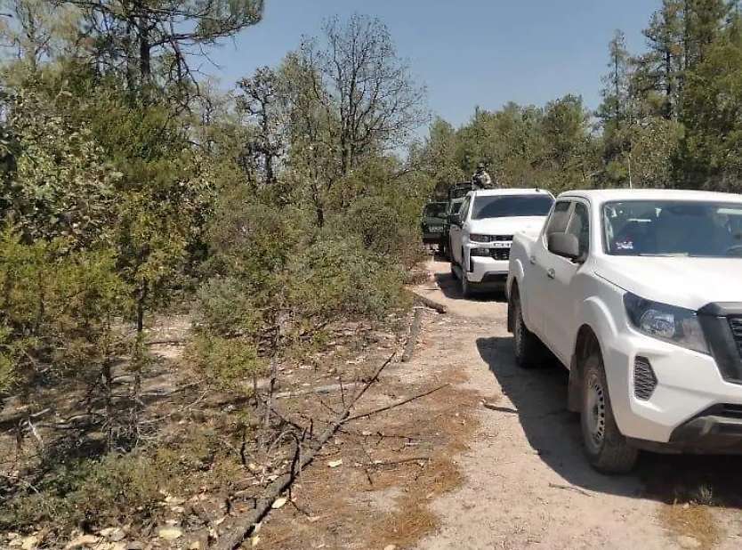 Descartan enfrentamiento armado en Guadalupe y Calvo