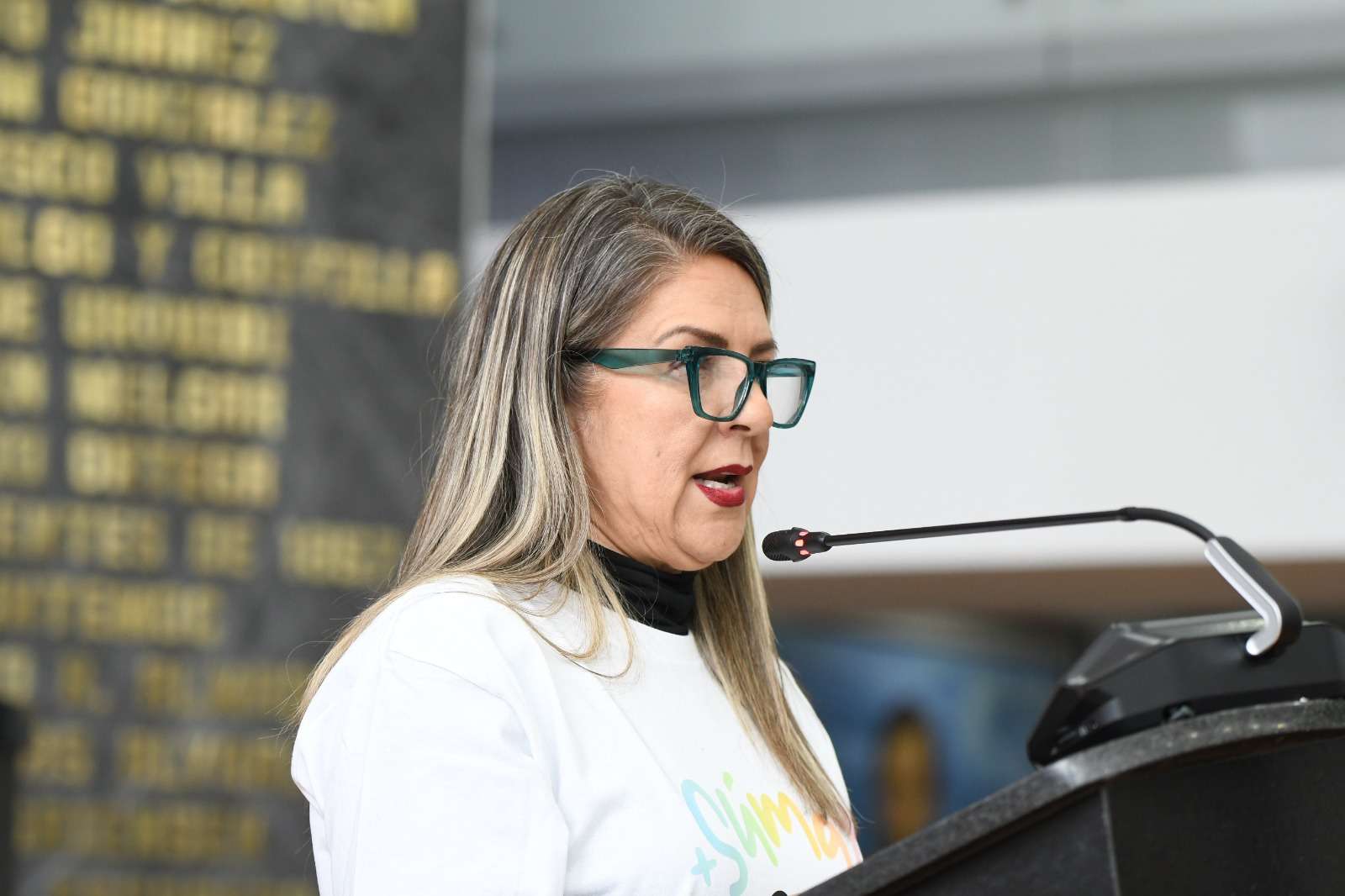 Solicita Rosana Díaz informe sobre ladrilleras en el estado