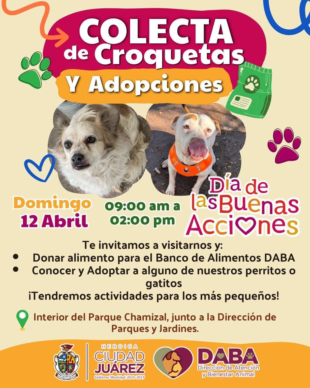 Celebran mañana Día de las Buenas Acciones con colecta de croquetas 