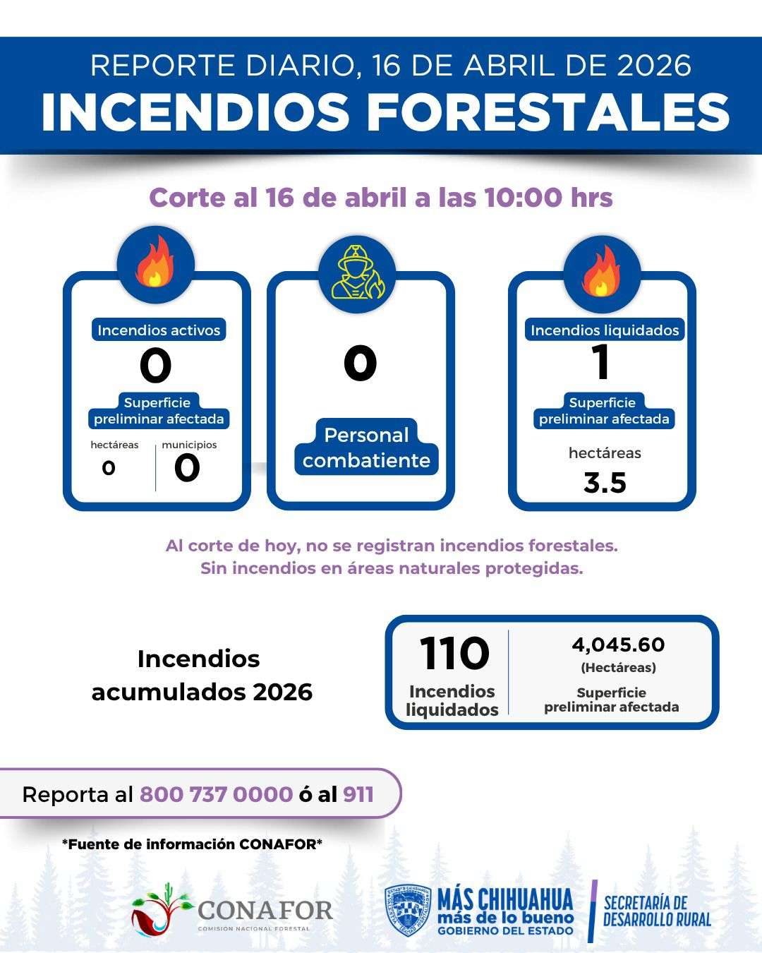 Reportan a Chihuahua sin incendios forestales activos