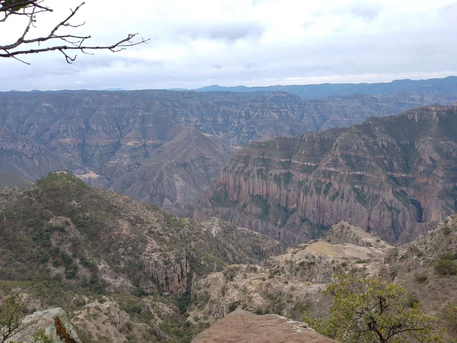 Marca termómetro hasta 34 grados centígrados en Urique 