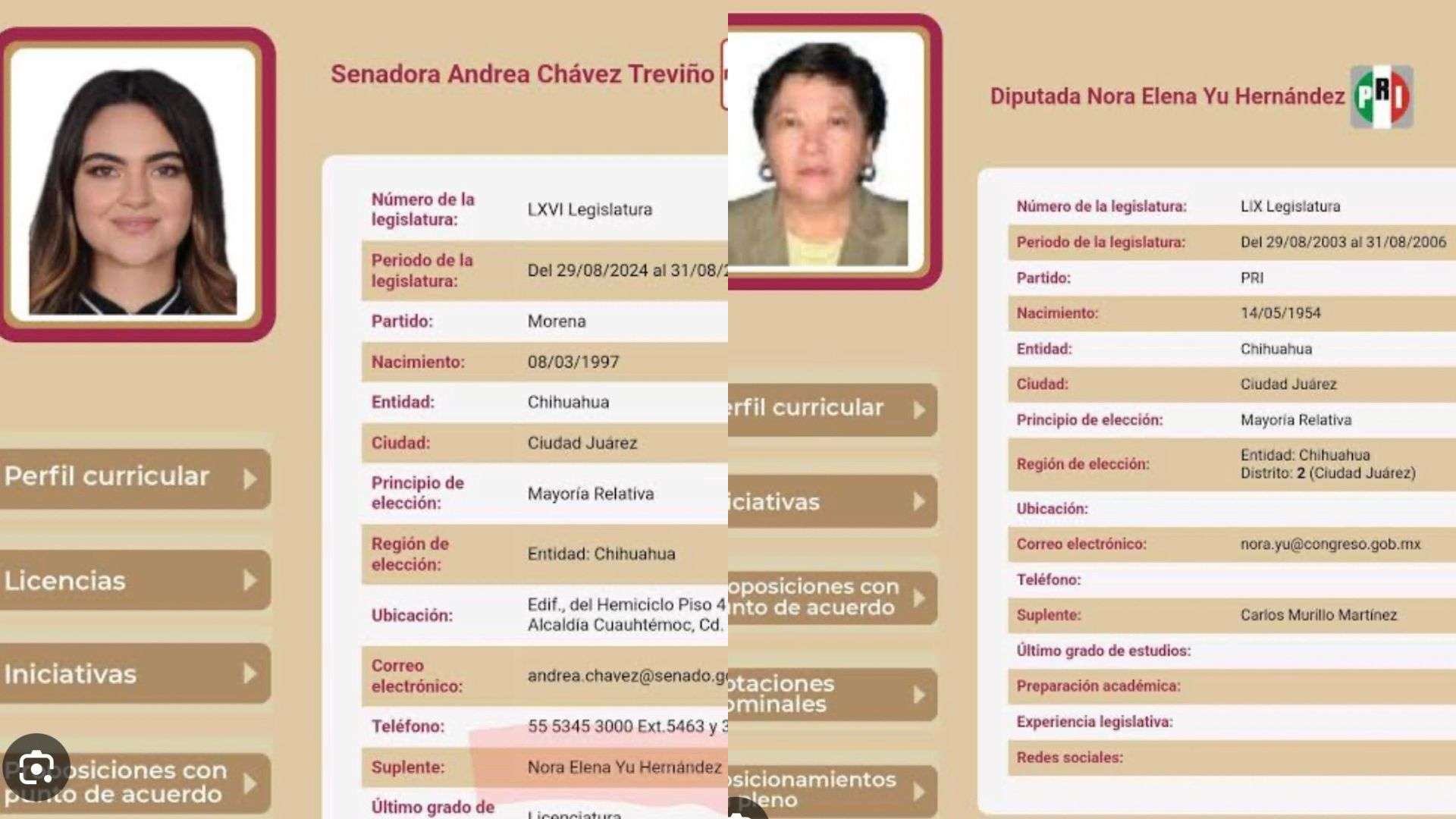 Exhiben posible impedimento legal para que Nora Yu sea senadora suplente