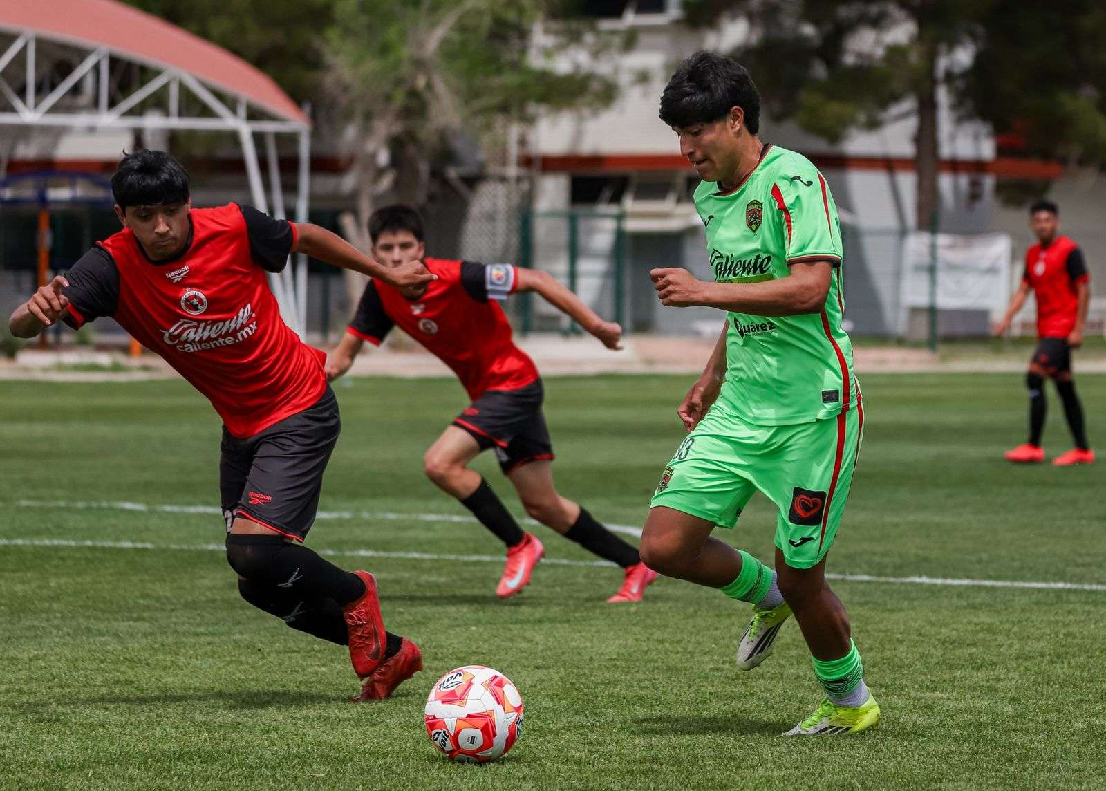 Enfrenta Bravos a Xolos en Cuartos de Final del Clausura 2026