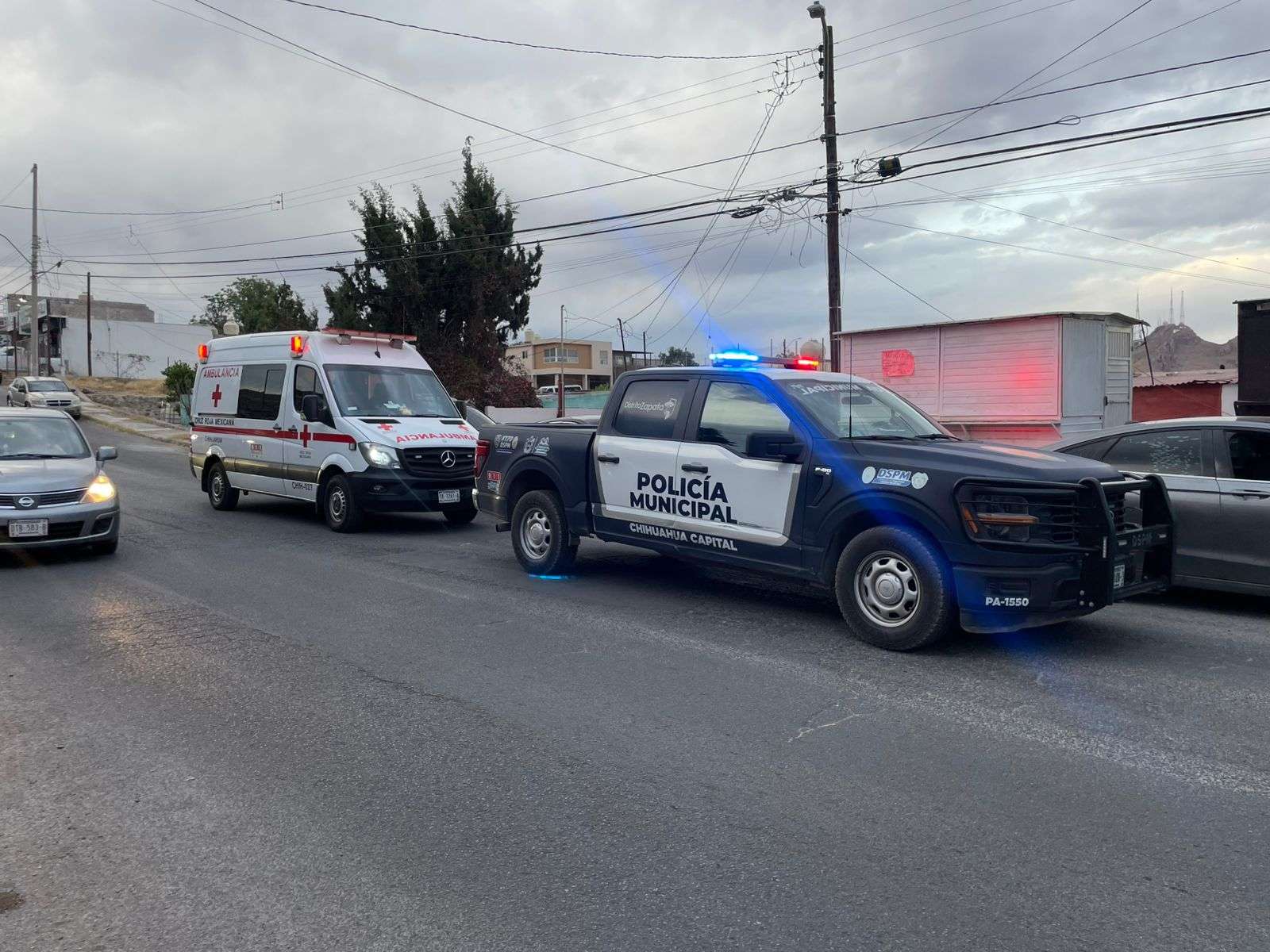 Atacan perros Pitbull a menor de 12 años en la Santa Rosa