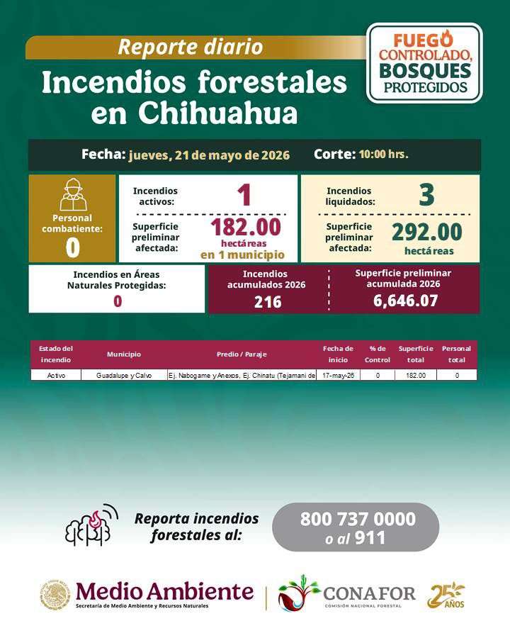 Afecta incendio forestal activo 182 hectáreas en Guadalupe y Calvo