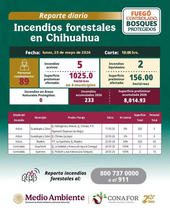 Reporta Conafor cinco incendios forestales activos en la Sierra