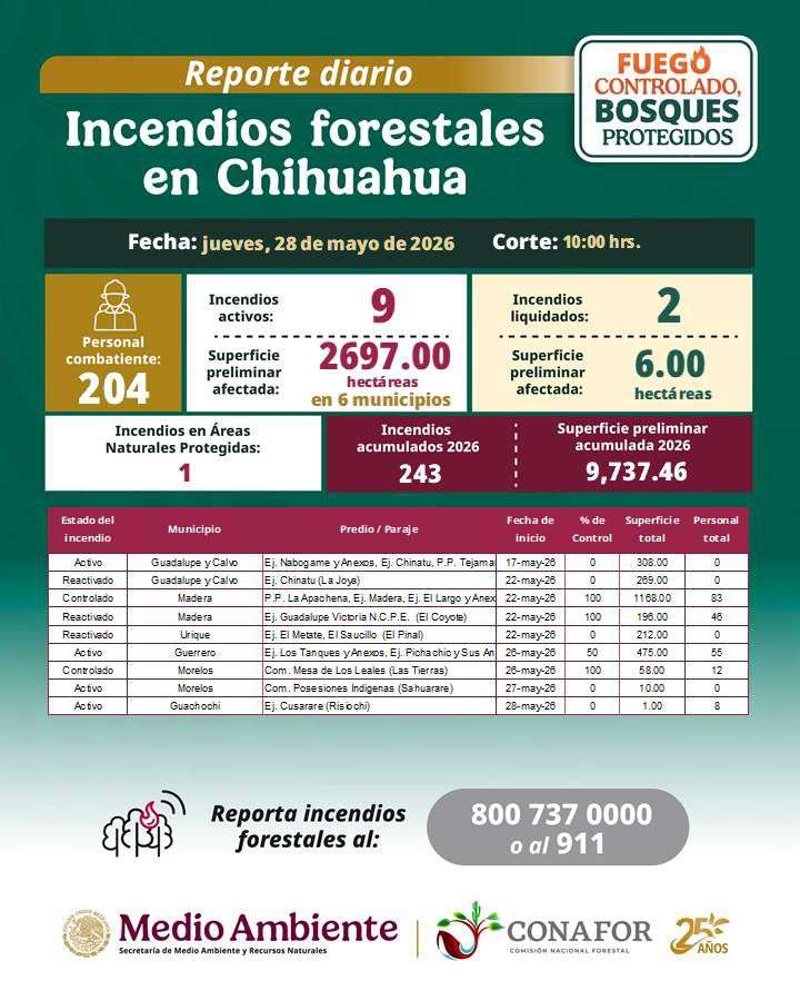 Arrasan incendios más de 9 mil 700 hectáreas en Chihuahua