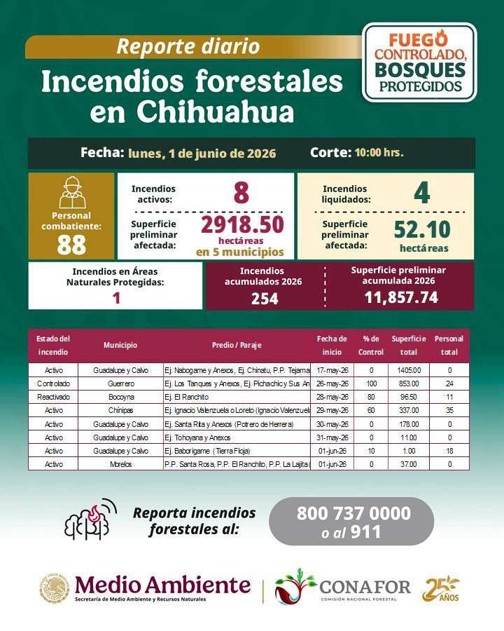 Registra Chihuahua ocho incendios forestales activos en la Sierra 