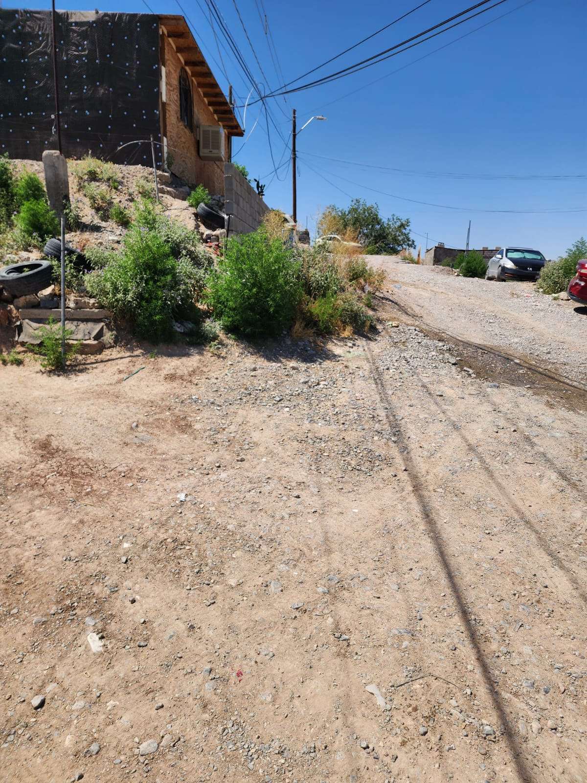 Fallece hombre de 52 años por rickettsiosis en Juárez 