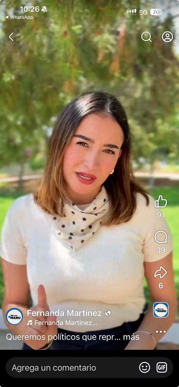 EL VIDEO