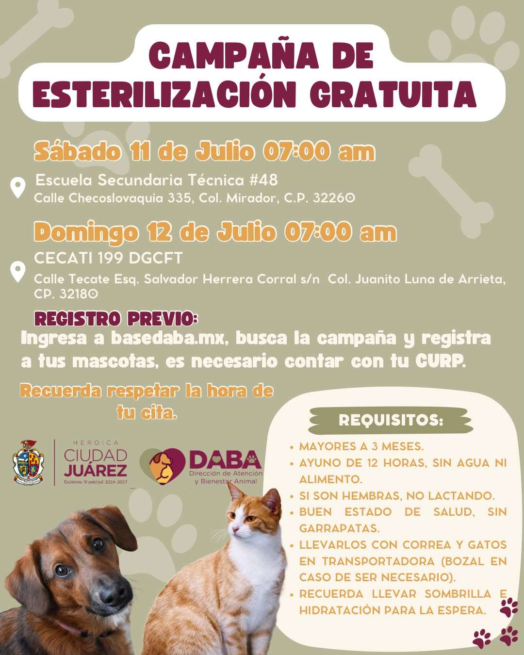 Exhortan a registrar a mascotas en esterilización gratuita para el fin de semana