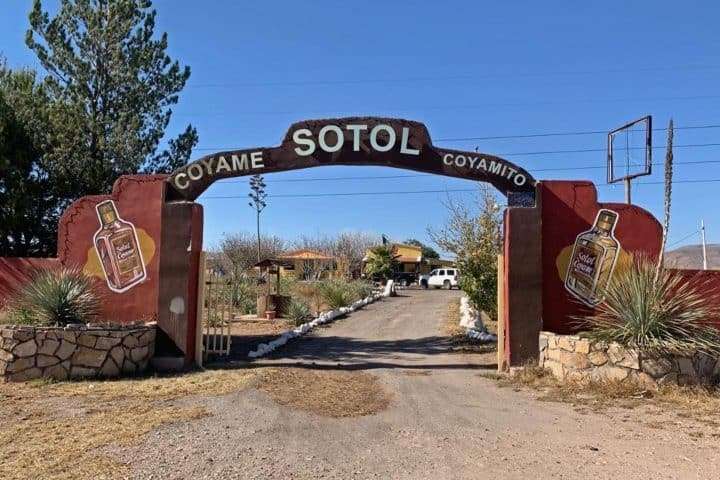 Acribillan a productor nogalero en rancho de Coyame