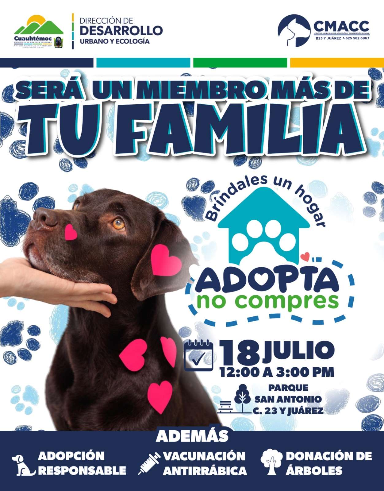 Alistan campaña de adopción de perritos en Cuauhtémoc