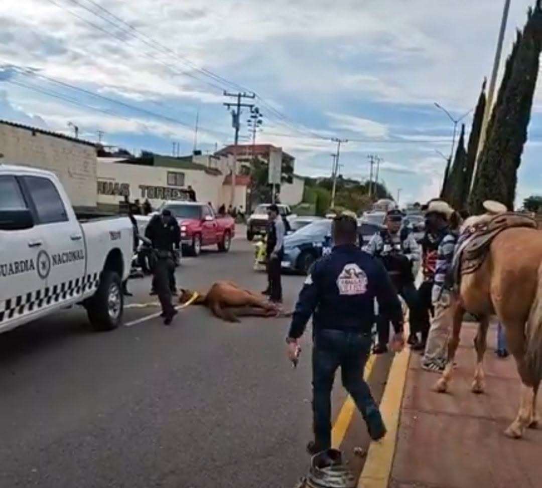 Deja tres heridos choque contra caballo en vía corta Parral-Chihuahua