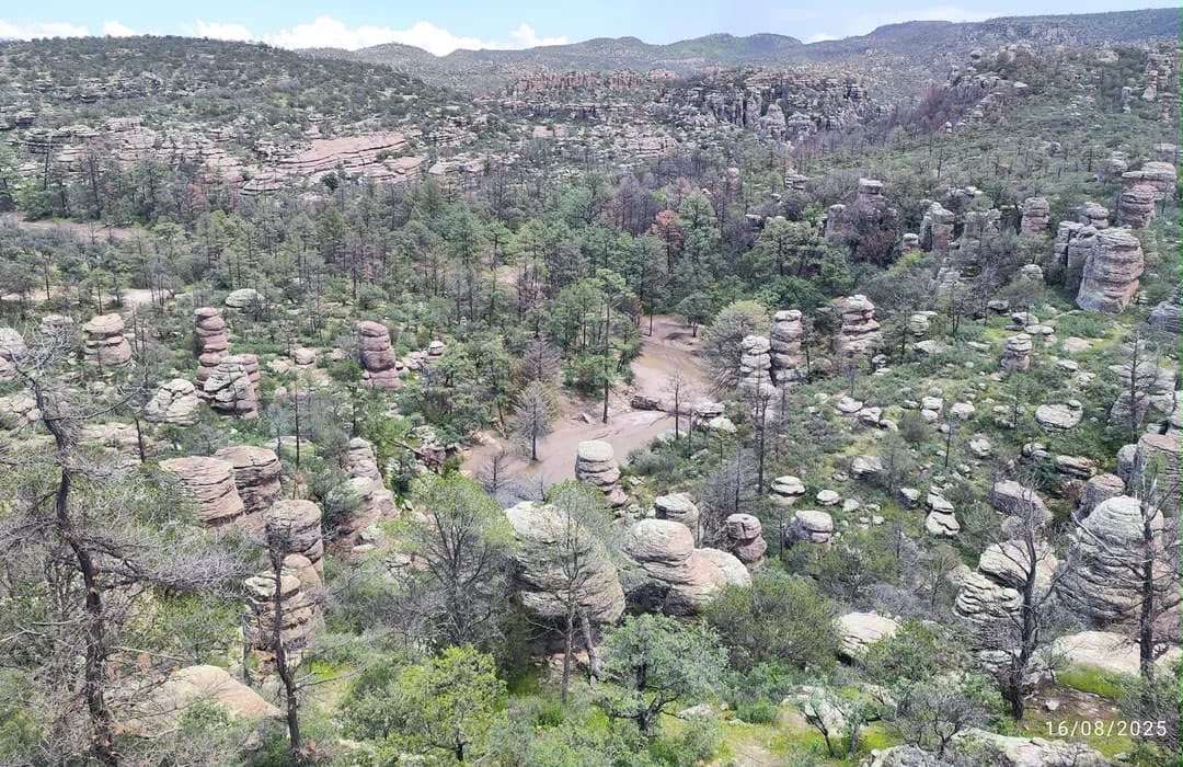 Alcanza Ojinaga temperaturas de 39.2 grados centígrados