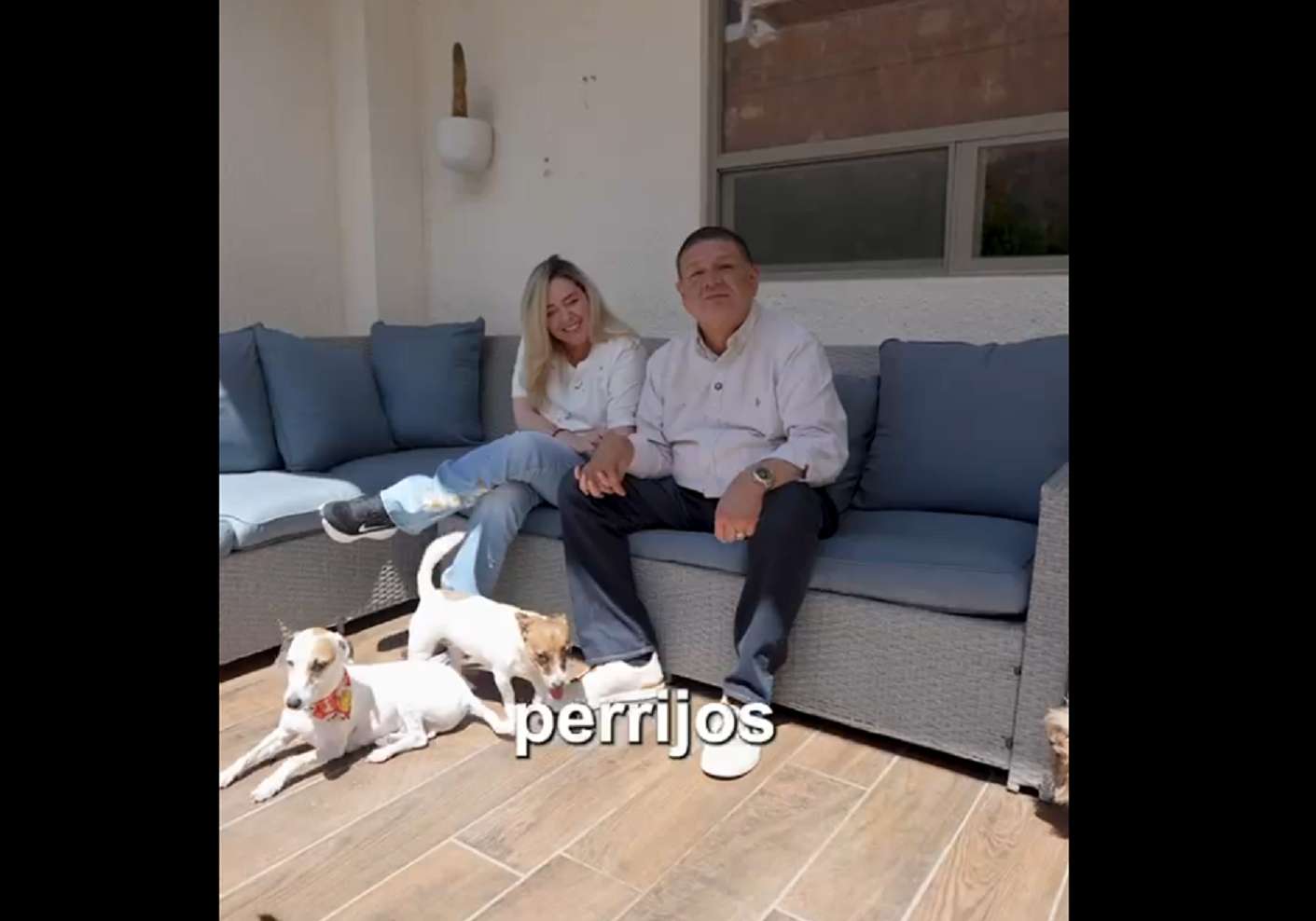 Presenta Jáuregui a sus 6 perrijos; refrenda compromiso con los animales