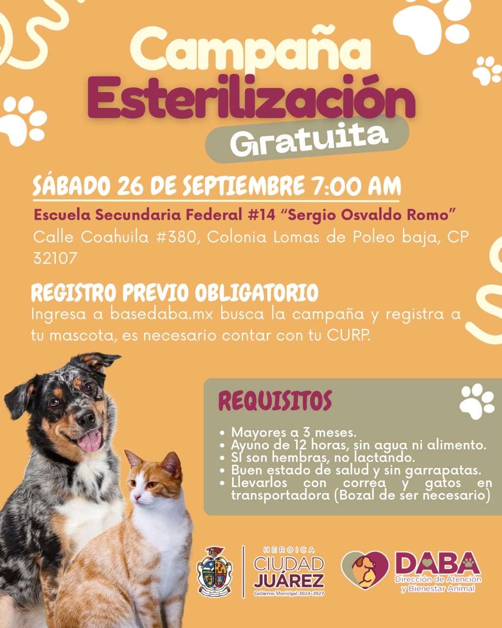 Esterilizarán gratis a perros y gatos en Lomas de Poleo el fin de semana 