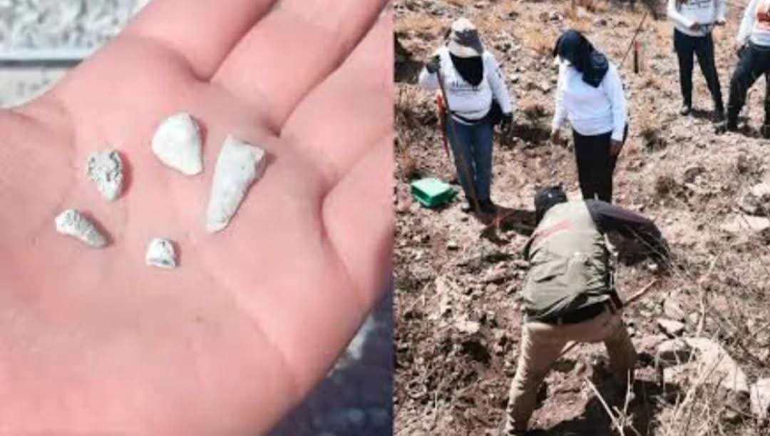 Encuentran madres buscadoras fosa con mil 600 dientes 